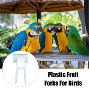 PLastic Bird Parrot Fruit Fork Pet Supplies Plastic Food Rack Cage Feeding Pet Supplies Toys Fruit Snack Fork Bird Cage Accessor